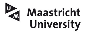 University of Maastricht
